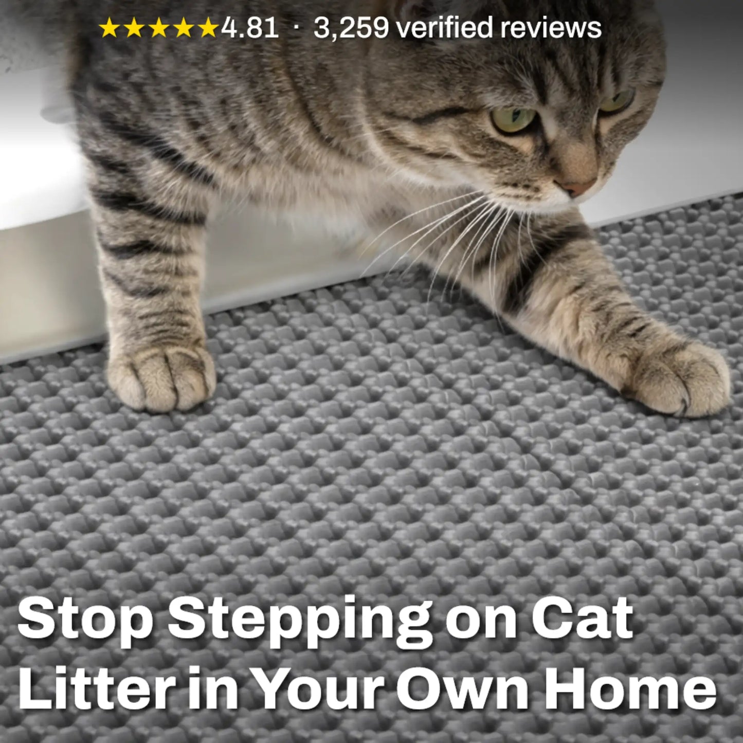 The Litter Mat
